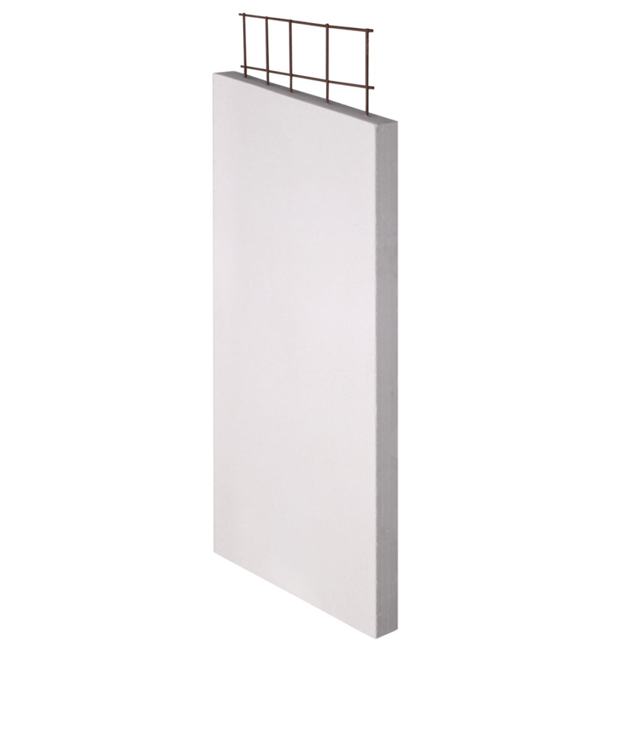WALSC AAC PANEL 50 X 600 X 1800mm