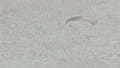 Cemintel Territory™ Quarry Urban Grey 16x455x3030mm 2pcs/Pack